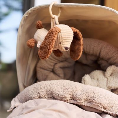 Jouet d'activités à suspendre Diego