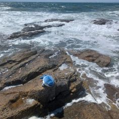 Peluche Nemu Nemu Flip dauphin (54 cm)