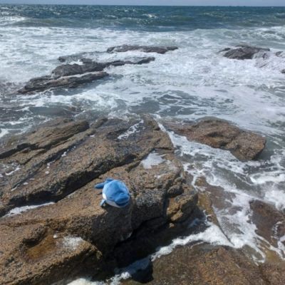 Peluche Nemu Nemu Flip dauphin (54 cm)