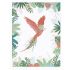Affiche encadrée L'envol du perroquet (30 x 40 cm) - Lilipinso