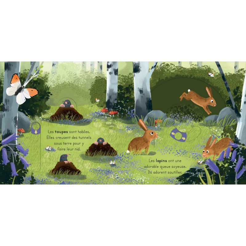 Livre les petits explorateurs - La forêt Editions Kimane Produit ouvert 2