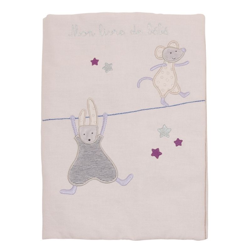 Livre de naissance Aimé et Céleste Moulin Roty