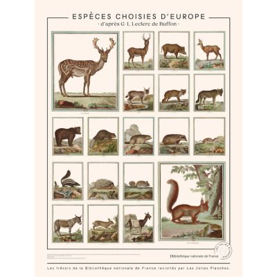 Planche Animaux de Buffons - espèces choisies d'Europe (60 x 80 cm)