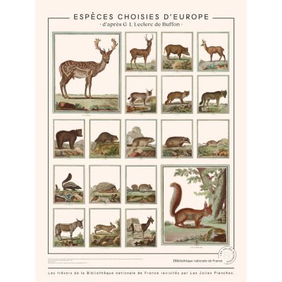 Planche Animaux de Buffons - espèces choisies d'Europe (60 x 80 cm)  par les jolies planches