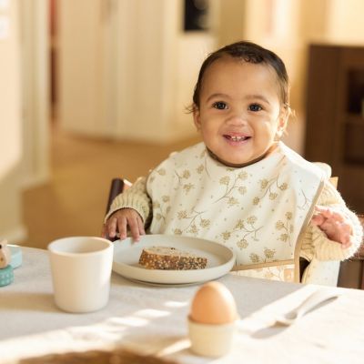 Lot de 2 bavoirs plastifiés Leafy Dreams