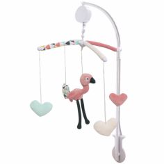 Jouets Premier Age Pour Bebe 0 18 Mois Berceau Magique
