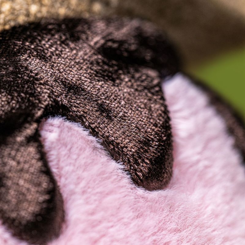 Peluche Amuseable S'mores Marshmallow (12 cm) Jellycat Ambiance 7