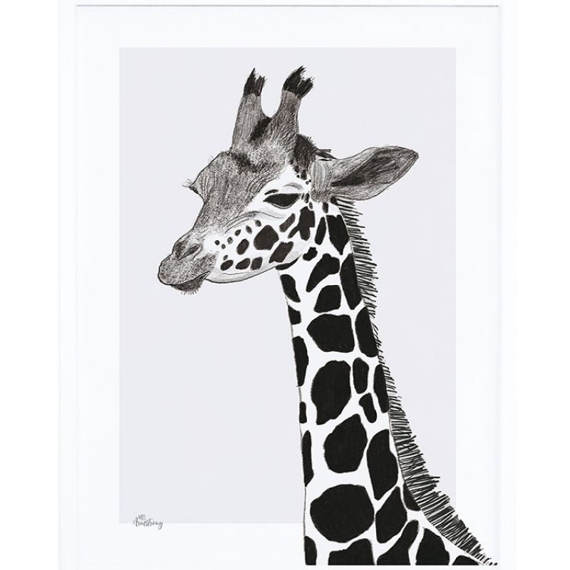 Affiche encadrée la girafe (30 x 40 cm) Lilipinso