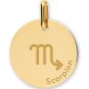 Médaille zodiaque Scorpion personnalisable (or jaune 375°) - Lucas Lucor