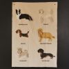 Suspension murale Dogs (70x100 cm) Lorena Canals Ambiance 3