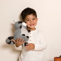 Denver le Raton laveur musical