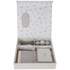 Memory box FSC Newborn - Little Dutch