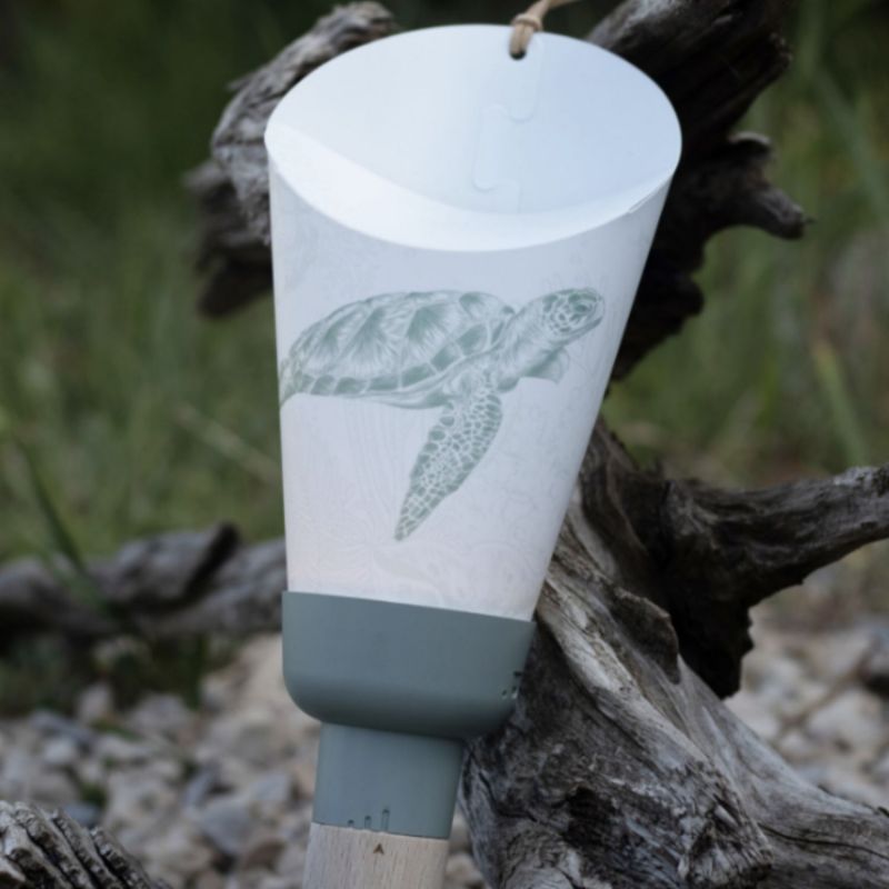 Coffret lampe nomade 5 en 1 - Tortue de mer - Sauge Maison Polochon Ambiance 6
