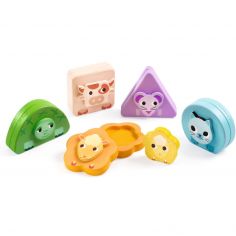 Jeu magnétique Baby couleur Kimani Farm - Djeco