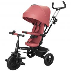Tricycle évolutif Aston 2 Plus Pink