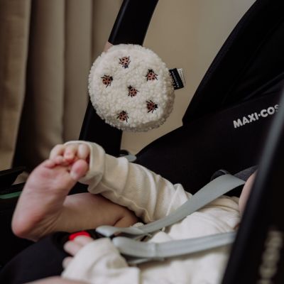 Bruit Blanc nomade Coccinelles