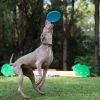 Frisbee en caoutchouc pour chien Jetwag (20 cm) Waboba Ambiance 6