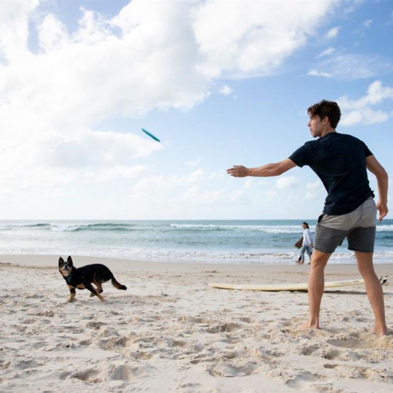 Frisbee en caoutchouc pour chien Jetwag (20 cm) Waboba Ambiance 7