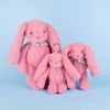 Peluche Lapin Fleurette Grenadine (50 cm) Doudou et Compagnie Ambiance 2