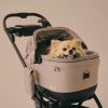 Siège auto pour animal avec ventilateur et système Isofix intégré MAEVE ISO5X WIND FAWN Tavo Ambiance 1