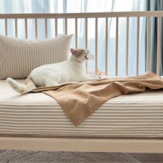 Drap housse percale de coton Rayé Ambre (60 x 120 cm)