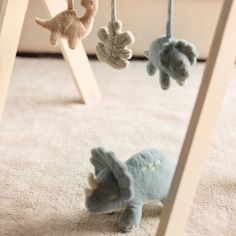 Lot de 3 jouets pour arche d'éveil Roarsome