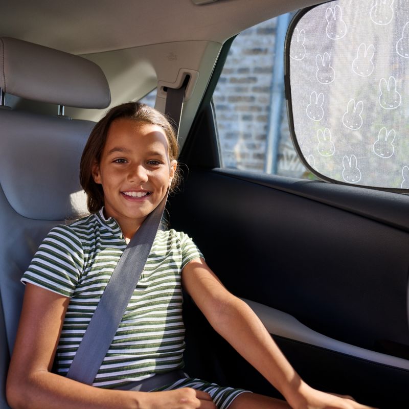 Lot de 2 pare-soleil statique pour voiture Miffy Dooky Ambiance 5