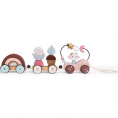 Train d'activités à tirer Après la pluie - Moulin Roty