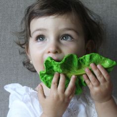 Kendall la feuille de chou en latex d'hévéa