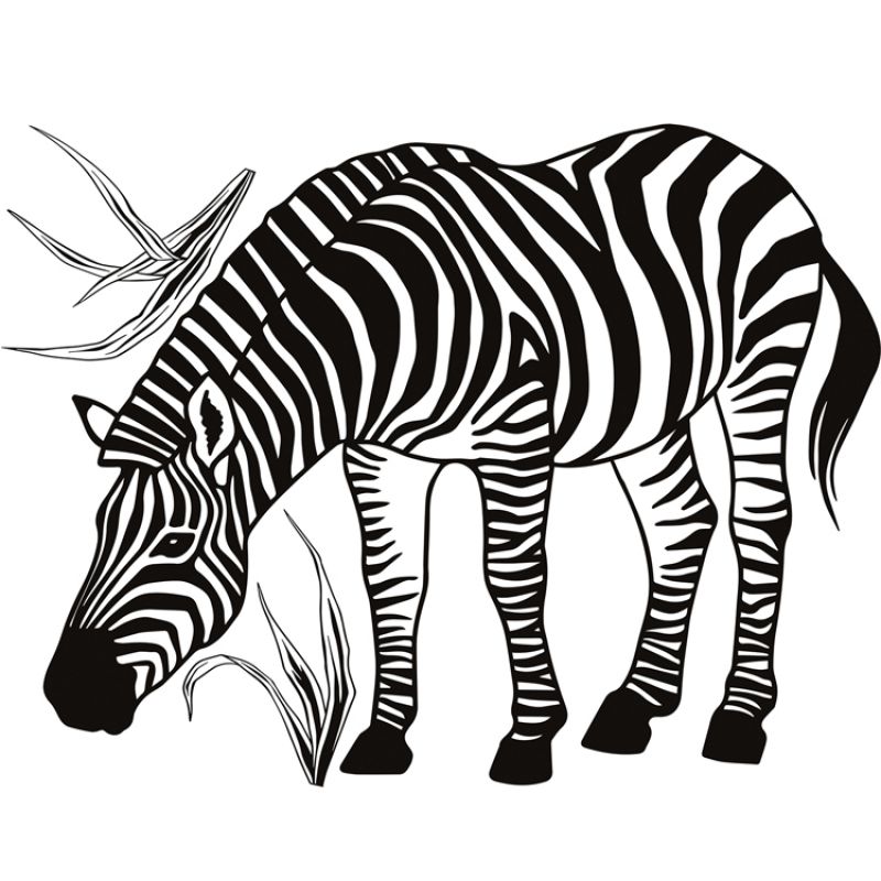 Stickers muraux Zèbre (60 x 45 cm) Lilipinso