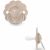 Variation Beige intense du produit Sucette réversible SXPro Wonder beige intense (0-6 mois) de la marque Suavinex