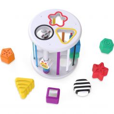 Boîte à formes Zèbre et Chenille - Baby Einstein