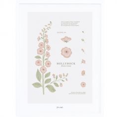 Affiche encadrée fleur Hollyhock (30 x 40 cm)