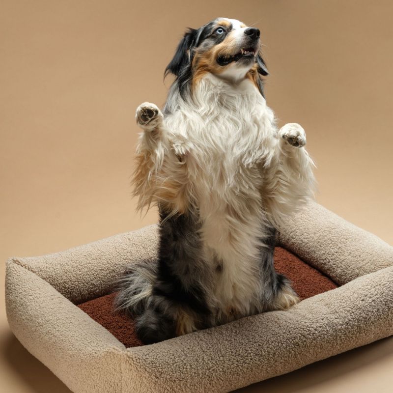 Lit douillet pour animaux L Biscuit Wigiwama Ambiance 4