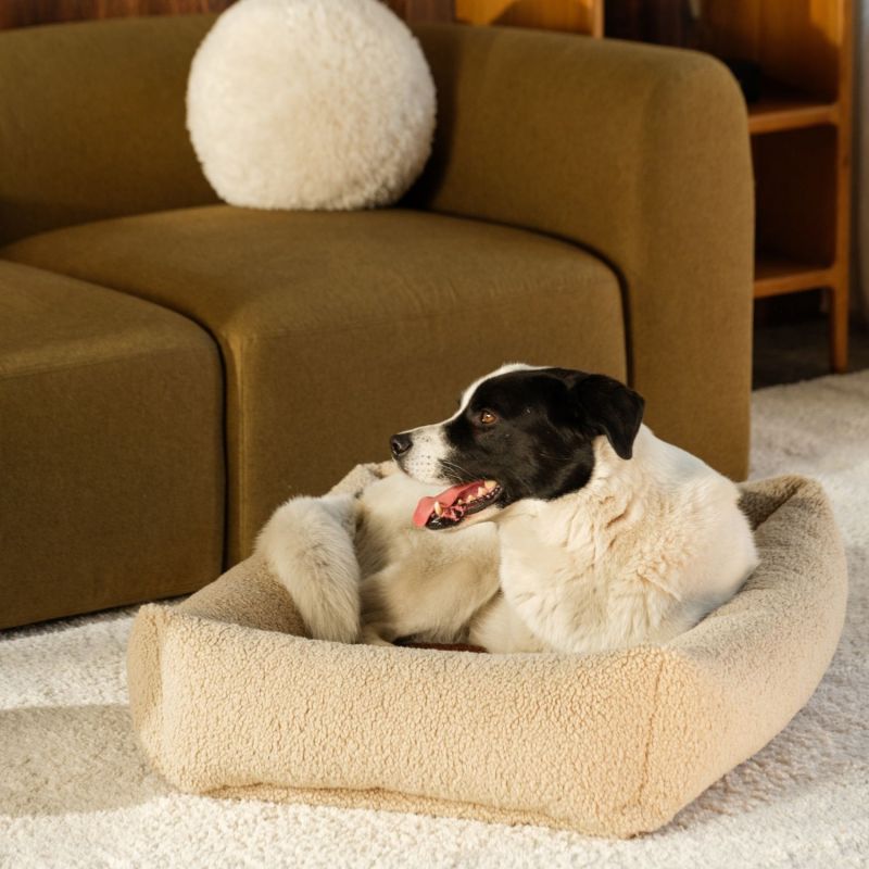 Lit douillet pour animaux L Biscuit Wigiwama Ambiance 5