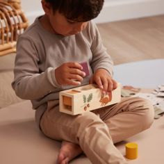 Jouet trieur de formes en bois