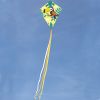 Cerf-volant toucan Tropik  par Janod 