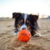 Balle rebondissante pour chien Tailwind (6,5 cm) Waboba Ambiance 2