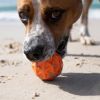 Balle rebondissante pour chien Tailwind (6,5 cm) Waboba Ambiance 6