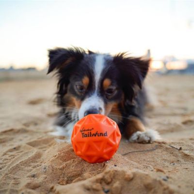 Balle rebondissante pour chien Tailwind (6,5 cm)