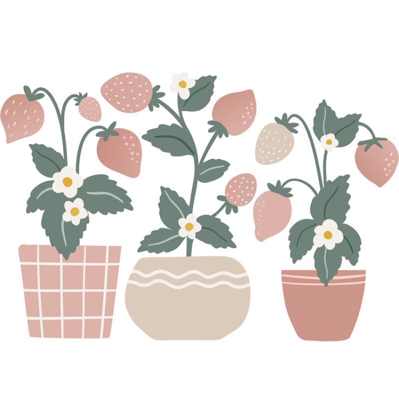 Stickers muraux Fraisiers (50 x 34 cm) Lilipinso