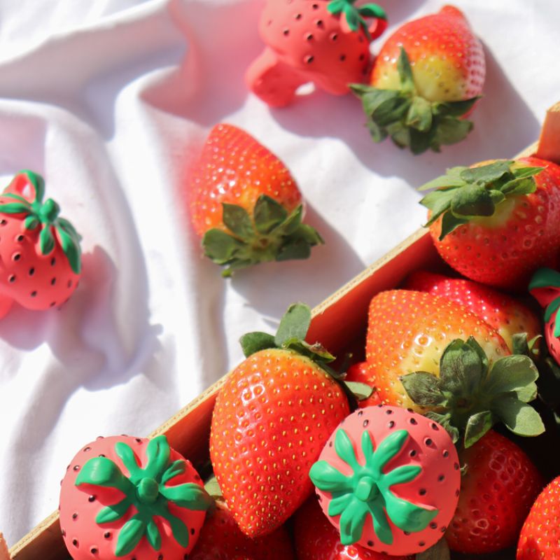 Mini jouet de dentition Chewy Sweetie la fraise Oli & Carol Produit 5