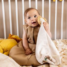 Gigoteuse 4 saisons TOG 2,3 Breeze Clay (0-3 mois)