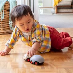 Lot de 2 véhicules à friction animaux australiens