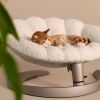 Lit pour animaux de compagnie et fauteuil suspendu SHELL LATTE Tavo Ambiance 8