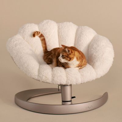Lit pour animaux de compagnie et fauteuil suspendu SHELL LATTE