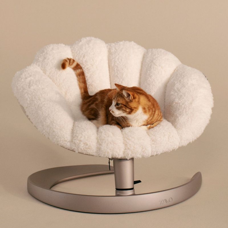 Lit pour animaux de compagnie et fauteuil suspendu SHELL LATTE Tavo Ambiance 1
