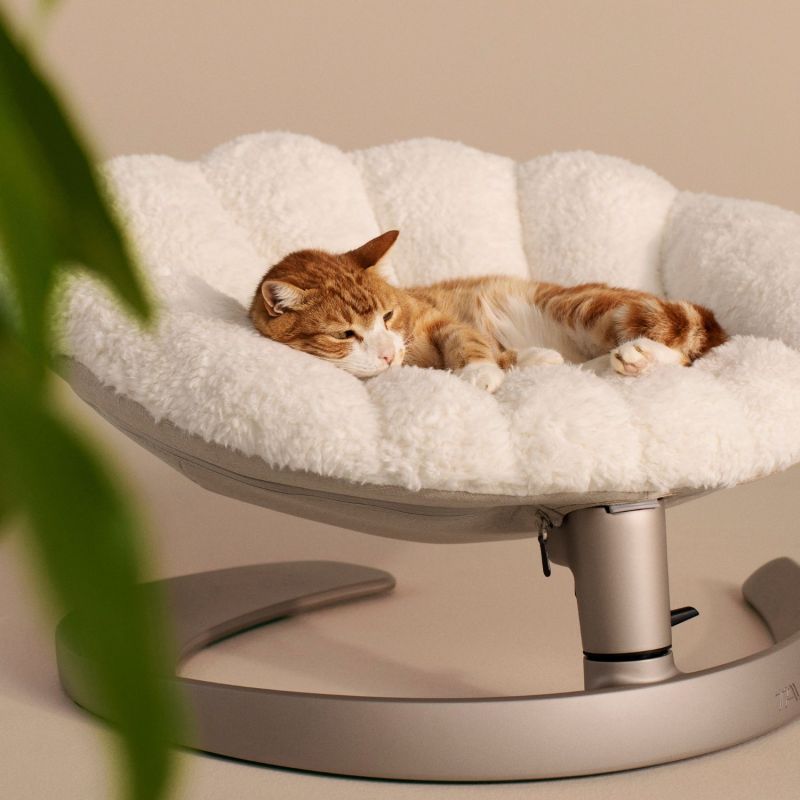 Lit pour animaux de compagnie et fauteuil suspendu SHELL LATTE Tavo Ambiance 8
