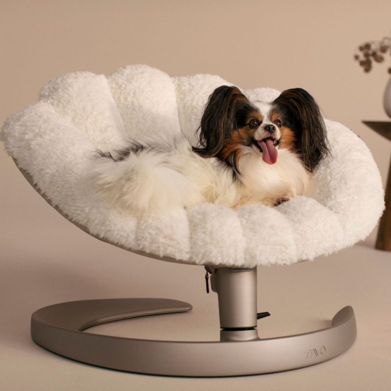 Lit pour animaux de compagnie et fauteuil suspendu SHELL LATTE Tavo Ambiance 9