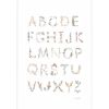 Affiche Alphabet (42 x 30 cm)  par Mushie